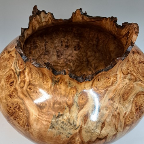 JW-227 Aspen Burl Hollow Woodturning 10x12 $1400 at Hunter Wolff Gallery